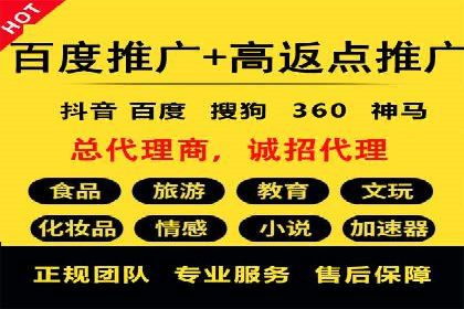 百度SEO推广公司案例分享：行业佼佼者经验